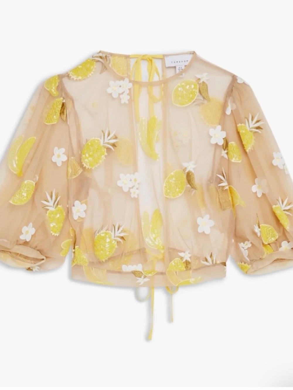 Topshop mesh fruit top